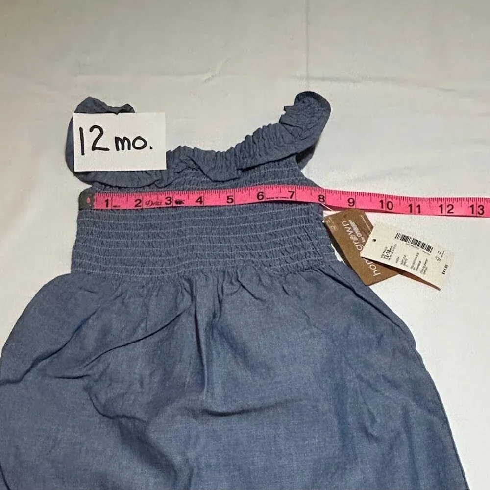 Gymboree Baby Girls 12-18 Months Embroidered Floral Chambray Flutter Dress NWT